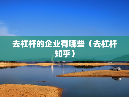 去杠杆的企业有哪些（去杠杆知乎）