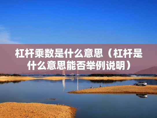 杠杆乘数是什么意思（杠杆是什么意思能否举例说明）
