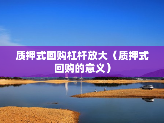 质押式回购杠杆放大（质押式回购的意义）