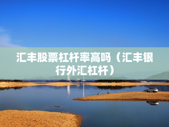 汇丰股票杠杆率高吗（汇丰银行外汇杠杆）