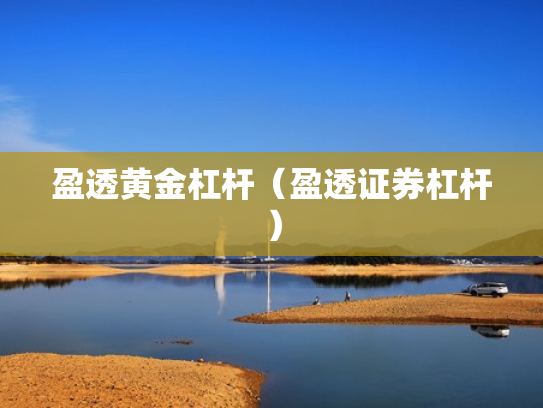 盈透黄金杠杆（盈透证券杠杆）