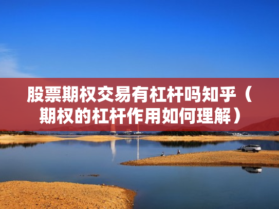 股票期权交易有杠杆吗知乎（期权的杠杆作用如何理解）