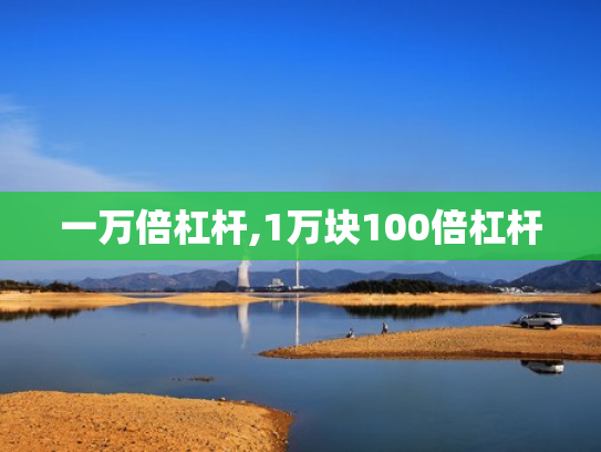 一万倍杠杆,1万块100倍杠杆