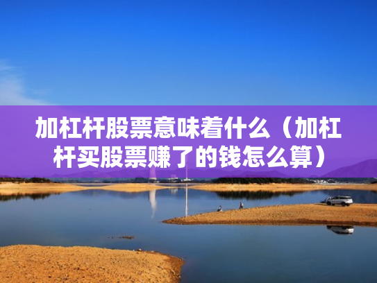 加杠杆股票意味着什么（加杠杆买股票赚了的钱怎么算）