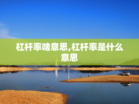 杠杆率啥意思,杠杆率是什么意思