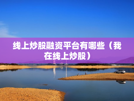 线上炒股融资平台有哪些（我在线上炒股）