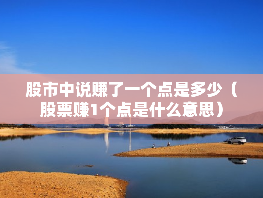 股市中说赚了一个点是多少（股票赚1个点是什么意思）