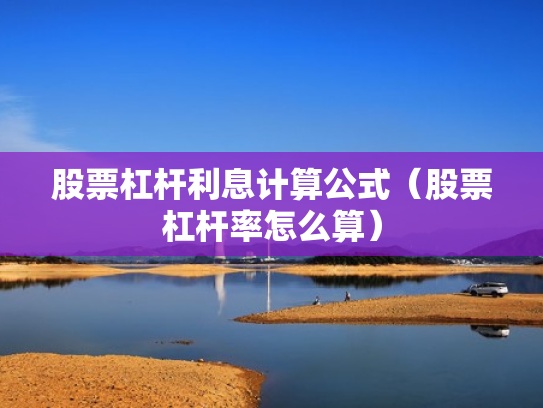 股票杠杆利息计算公式（股票杠杆率怎么算）