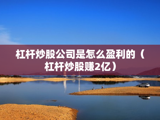 杠杆炒股公司是怎么盈利的（杠杆炒股赚2亿）