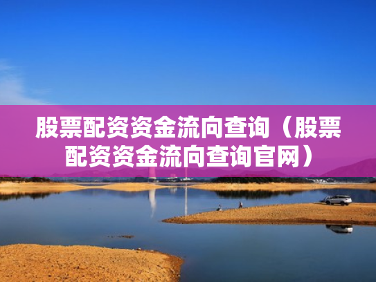 股票配资资金流向查询（股票配资资金流向查询官网）