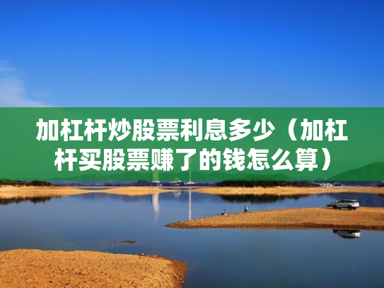 加杠杆炒股票利息多少（加杠杆买股票赚了的钱怎么算）