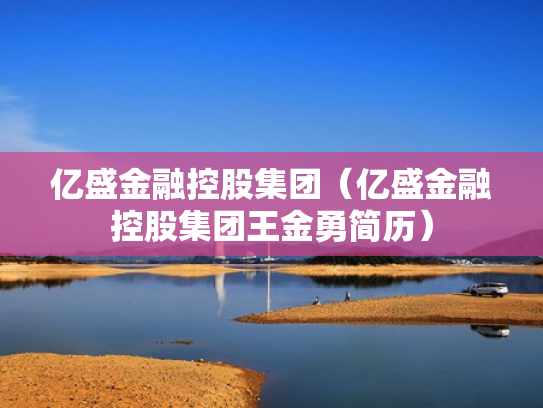 亿盛金融控股集团（亿盛金融控股集团王金勇简历）