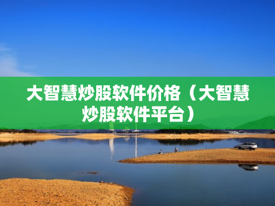 大智慧炒股软件价格（大智慧炒股软件平台）