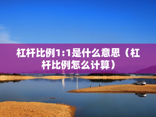 杠杆比例1:1是什么意思（杠杆比例怎么计算）