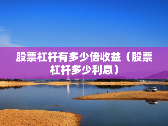 股票杠杆有多少倍收益（股票杠杆多少利息）