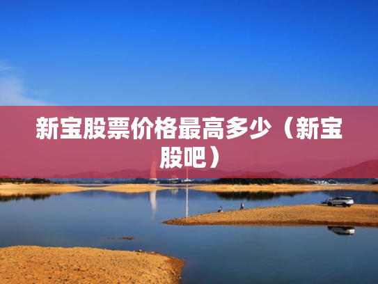 新宝股票价格最高多少（新宝股吧）