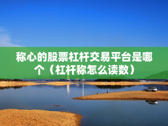 称心的股票杠杆交易平台是哪个（杠杆称怎么读数）
