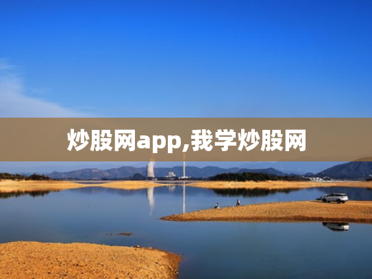 炒股网app,我学炒股网