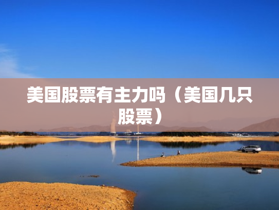 美国股票有主力吗（美国几只股票）