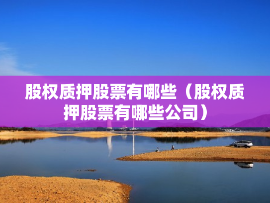 股权质押股票有哪些（股权质押股票有哪些公司）