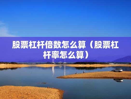 股票杠杆倍数怎么算（股票杠杆率怎么算）