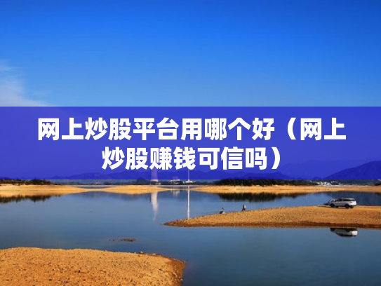 网上炒股平台用哪个好（网上炒股赚钱可信吗）