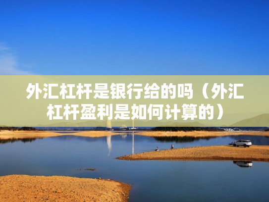 外汇杠杆是银行给的吗（外汇杠杆盈利是如何计算的）