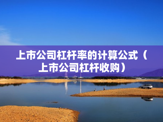 上市公司杠杆率的计算公式（上市公司杠杆收购）