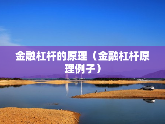 金融杠杆的原理（金融杠杆原理例子）