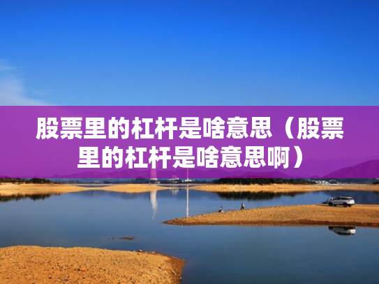 股票里的杠杆是啥意思（股票里的杠杆是啥意思啊）