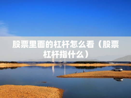 股票里面的杠杆怎么看（股票杠杆指什么）