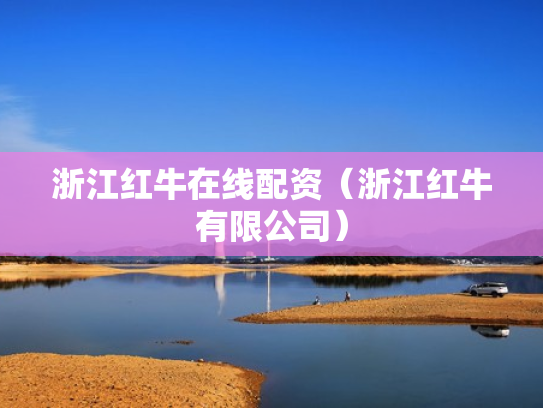 浙江红牛在线配资（浙江红牛有限公司）