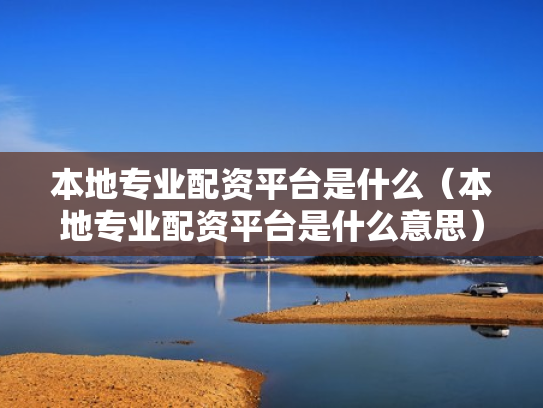 本地专业配资平台是什么（本地专业配资平台是什么意思）