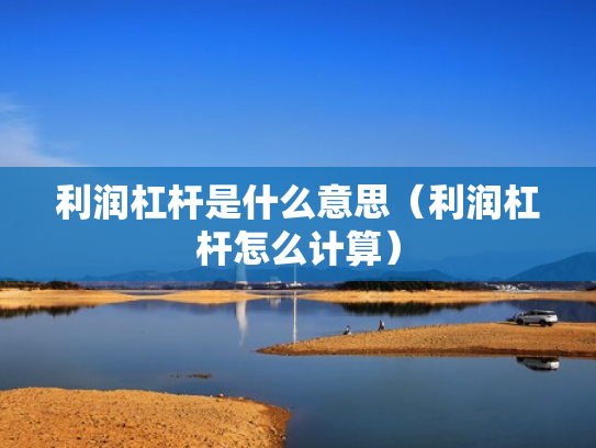 利润杠杆是什么意思（利润杠杆怎么计算）
