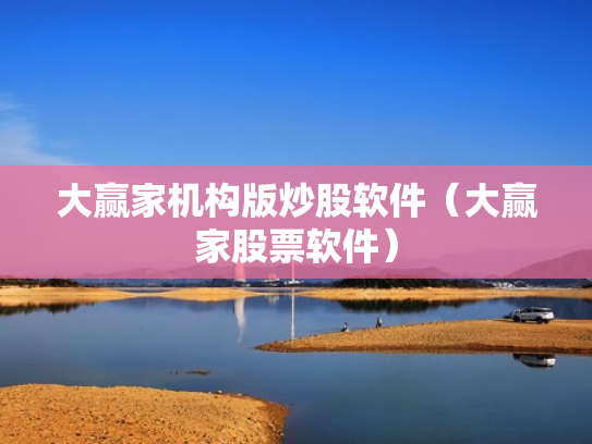 大赢家机构版炒股软件（大赢家股票软件）
