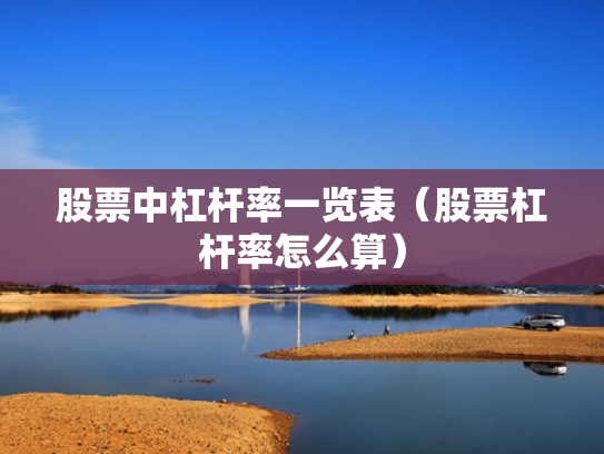 股票中杠杆率一览表（股票杠杆率怎么算）