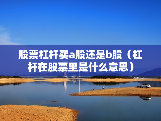 股票杠杆买a股还是b股（杠杆在股票里是什么意思）