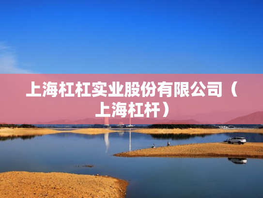 上海杠杠实业股份有限公司（上海杠杆）