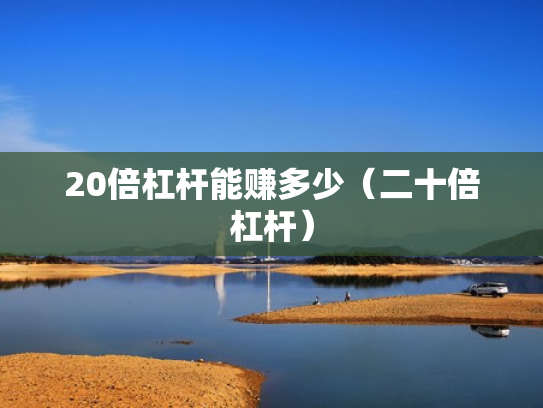 20倍杠杆能赚多少（二十倍杠杆）