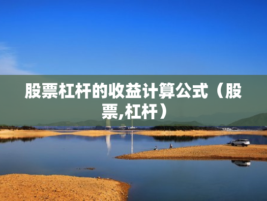 股票杠杆的收益计算公式（股票,杠杆）