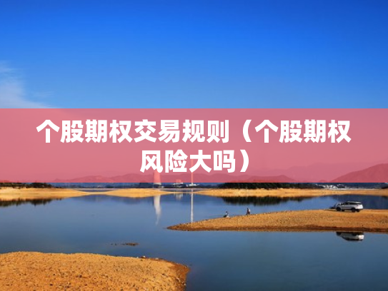 个股期权交易规则（个股期权风险大吗）