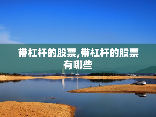 带杠杆的股票,带杠杆的股票有哪些