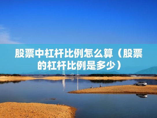股票中杠杆比例怎么算（股票的杠杆比例是多少）