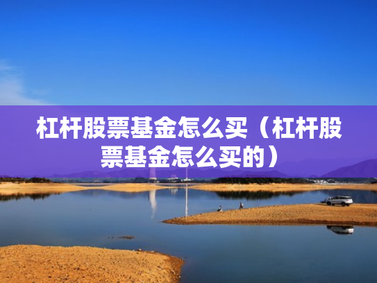 杠杆股票基金怎么买（杠杆股票基金怎么买的）