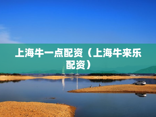 上海牛一点配资（上海牛来乐配资）