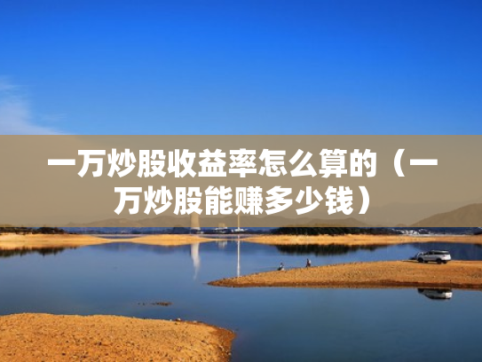 一万炒股收益率怎么算的（一万炒股能赚多少钱）