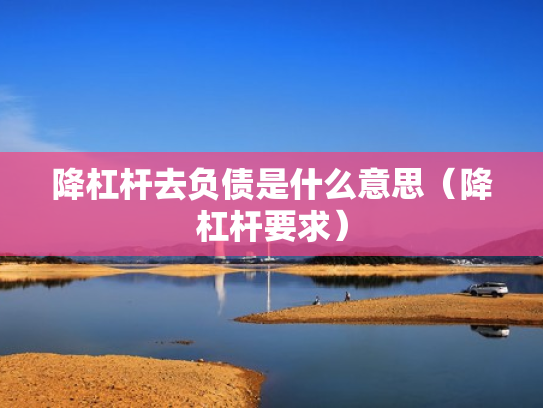 降杠杆去负债是什么意思（降杠杆要求）