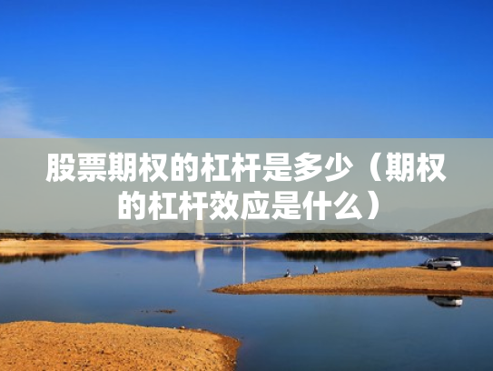 股票期权的杠杆是多少（期权的杠杆效应是什么）