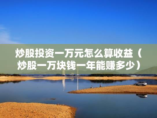 炒股投资一万元怎么算收益（炒股一万块钱一年能赚多少）