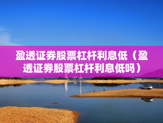 盈透证券股票杠杆利息低（盈透证券股票杠杆利息低吗）